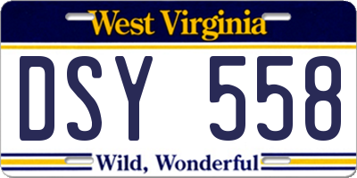 WV license plate DSY558
