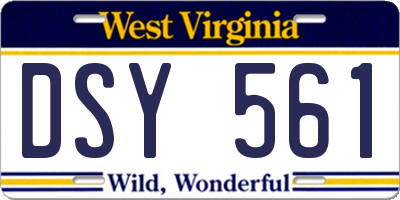 WV license plate DSY561