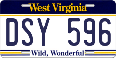 WV license plate DSY596