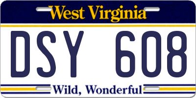 WV license plate DSY608