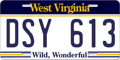 WV license plate DSY613