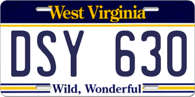 WV license plate DSY630