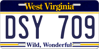 WV license plate DSY709