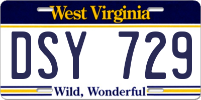 WV license plate DSY729