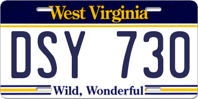 WV license plate DSY730