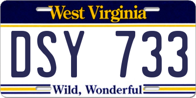 WV license plate DSY733