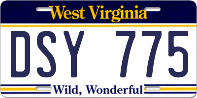 WV license plate DSY775