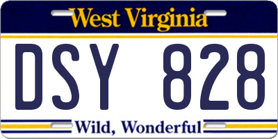 WV license plate DSY828