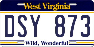 WV license plate DSY873
