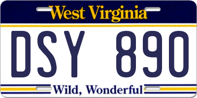 WV license plate DSY890