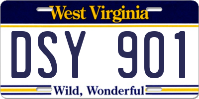 WV license plate DSY901