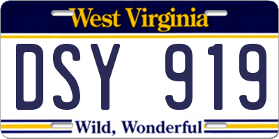 WV license plate DSY919