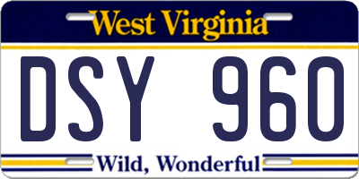 WV license plate DSY960
