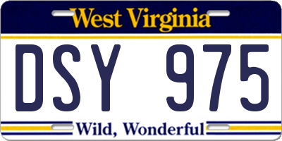 WV license plate DSY975