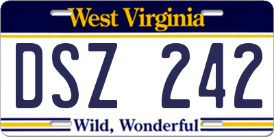 WV license plate DSZ242
