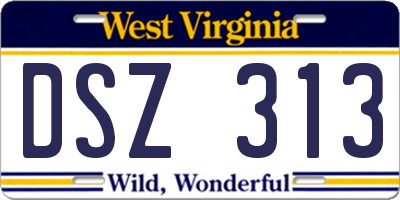WV license plate DSZ313
