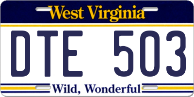 WV license plate DTE503
