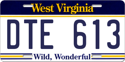 WV license plate DTE613