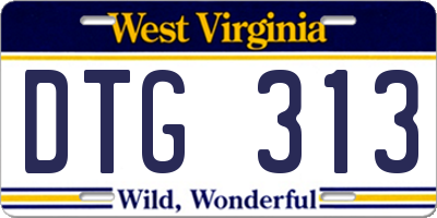 WV license plate DTG313