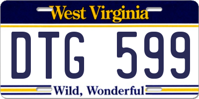 WV license plate DTG599