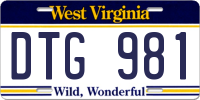 WV license plate DTG981