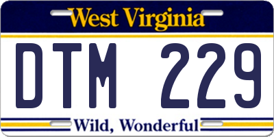 WV license plate DTM229