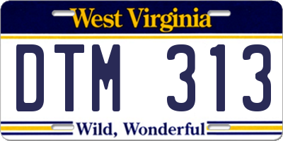 WV license plate DTM313