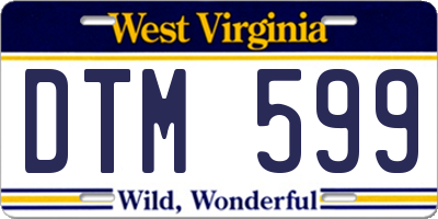 WV license plate DTM599