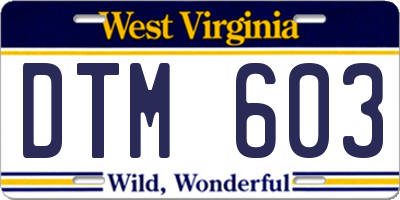 WV license plate DTM603