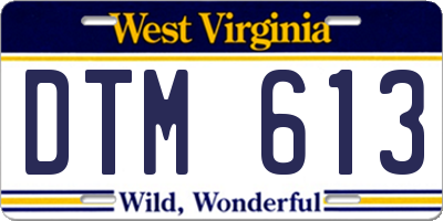 WV license plate DTM613