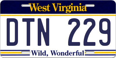WV license plate DTN229