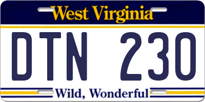 WV license plate DTN230