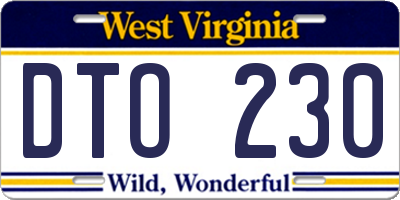 WV license plate DTO230