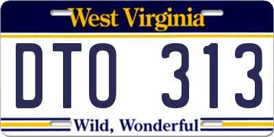 WV license plate DTO313