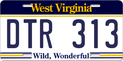 WV license plate DTR313