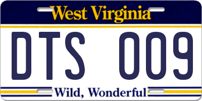 WV license plate DTS009