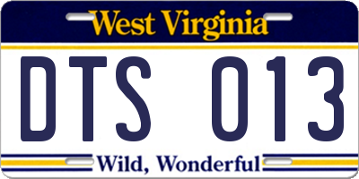 WV license plate DTS013