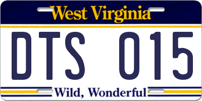 WV license plate DTS015
