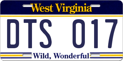 WV license plate DTS017