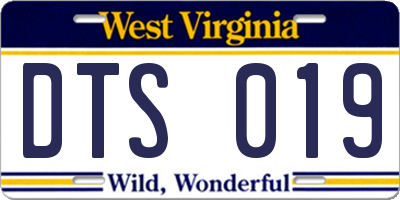 WV license plate DTS019