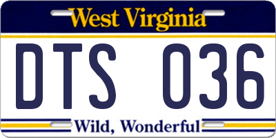 WV license plate DTS036
