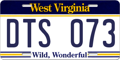 WV license plate DTS073