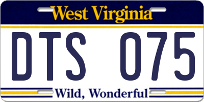 WV license plate DTS075