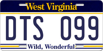WV license plate DTS099