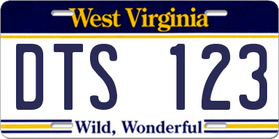 WV license plate DTS123
