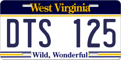 WV license plate DTS125
