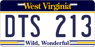 WV license plate DTS213