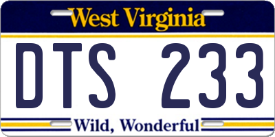 WV license plate DTS233