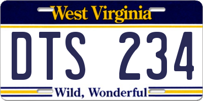 WV license plate DTS234