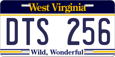 WV license plate DTS256